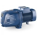 Насос для подачи воды Pedrollo JSWM1AX  (0,6 кВт ~ 230 В)