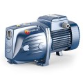 Насос для подачи воды Pedrollo FUTURA JET2C (0,75 кВт ~220 В)