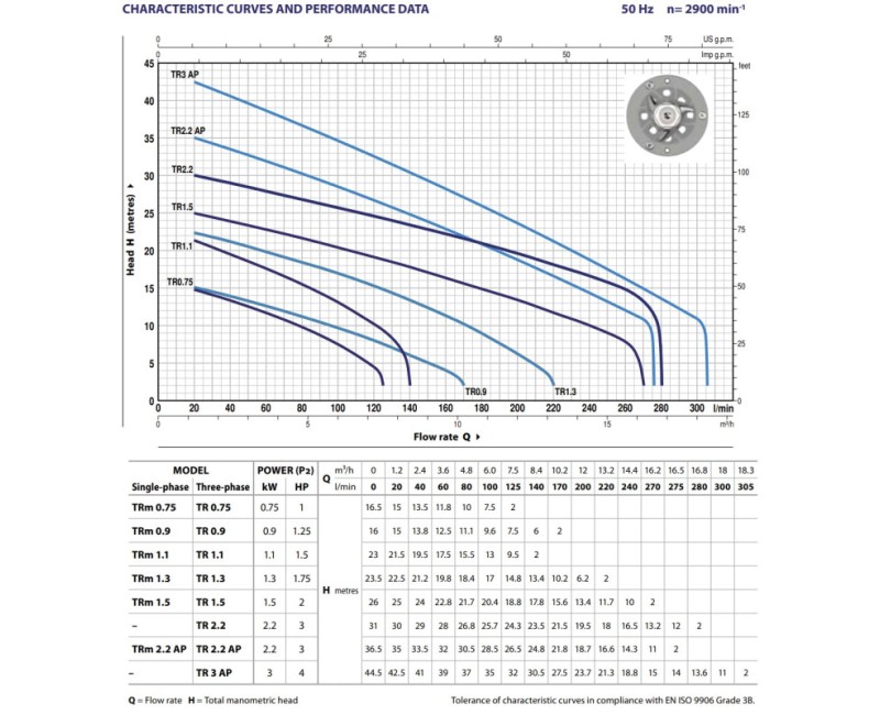 Погружной насос Pedrollo TRITUS TRM (1,3 кВт ~230 В) с измельчителем и поплавком
