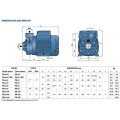 Насос для подачи воды Pedrollo PKm60 (0,37 кВт ~230 В)