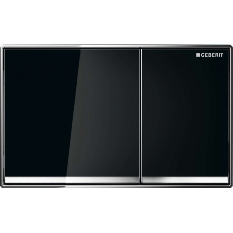 Кнопка для рамы Geberit Omega60 Black 115.081.SJ.1 Кнопка для рамы Geberit Omega60 Black 115.081.SJ.1