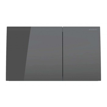 Кнопка для рамы Geberit Sigma70 Стекло/серый 115.622.JK.1