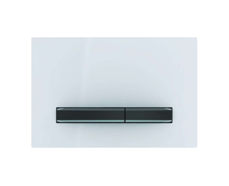 Кнопка для рамы Geberit Sigma50 Белый/Черный 115.671.11.2