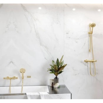 Dušas klausule Hansgrohe Raindance Select S 120 EcoSm.HS PGO 26531990 Polished Gold Optic