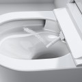 Tualetes poda ar bide komplekts Grohe Rapid SLX rāmis ar Sensia podu + bide funkciju,  Soft Close vāku 36509SH0