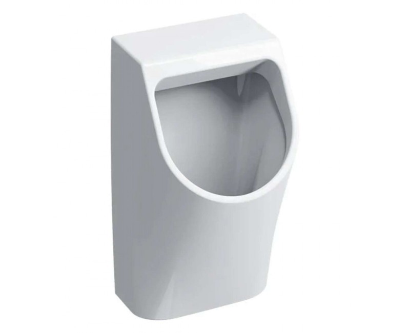 Писсуар Geberit Smyle, задний подвод, белый