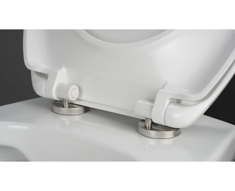 Подвесной унитаз Deante BORO Rimless с крышкой Softclose, белый CMOD6SPW