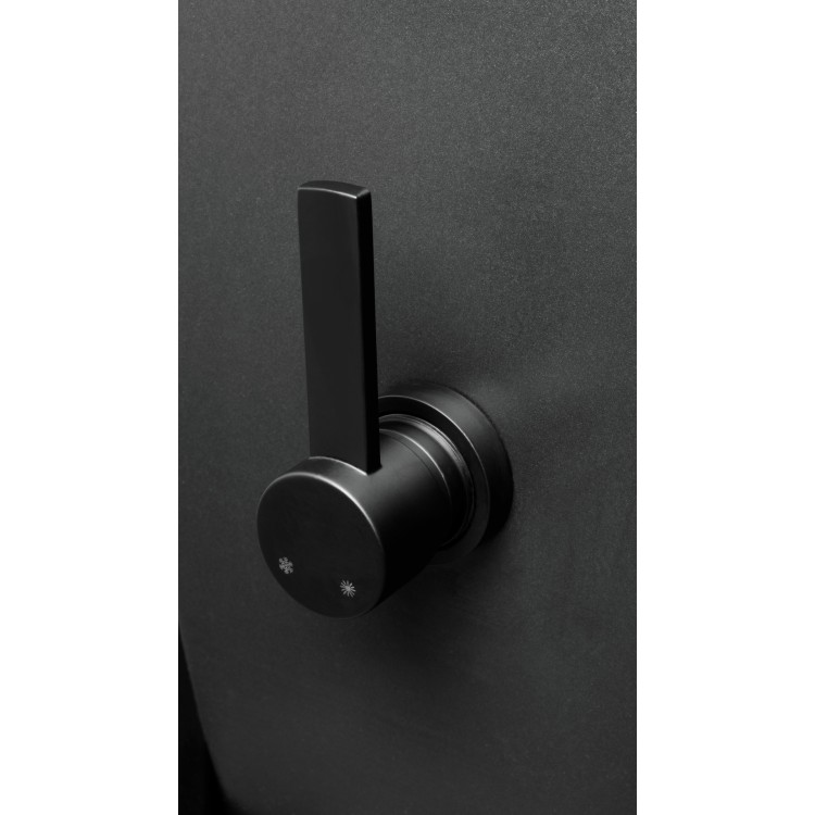 Piekaramais pods Deante PEONIA ZERO ar Bide Funkciju Rimless ar Softclose Vāku Melns CBP_NWPW