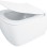 Подвесной унитаз Deante HIACYNT NEW Rimless с крышкой Softclose, белый CDYD6ZPW