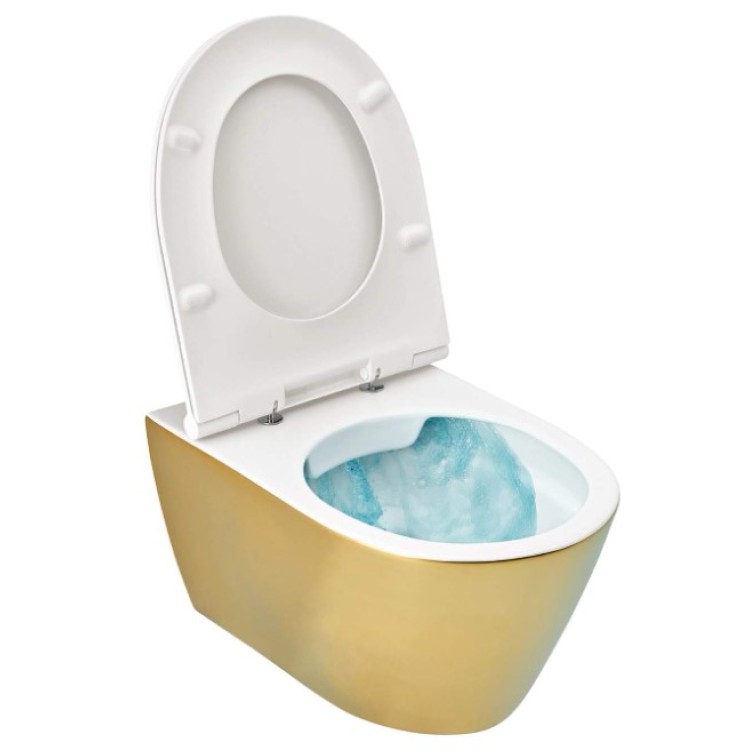 Piekaramais Tualetes Pods Sanindusa SANLIFE Rimfree ar Soft Close clipoff vāku Zelta Matēts (ārpuse) Piekaramais Tualetes Pods Sanindusa SANLIFE Rimfree ar Soft Close clipoff vāku Zelta Matēts (ārpuse)