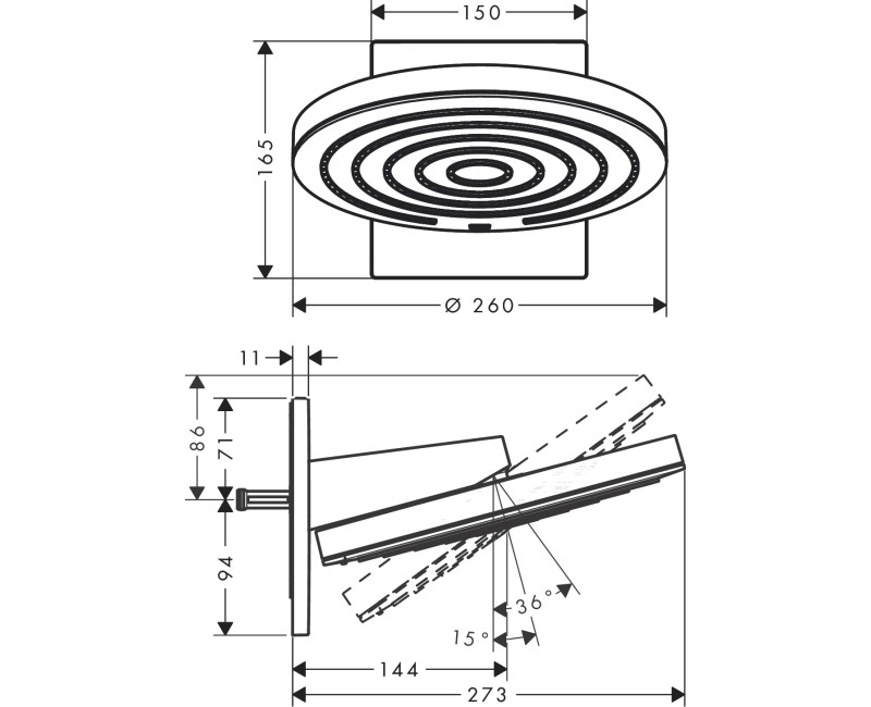 Душевая головка Hansgrohe Pulsify 260 2jet, с хромированным держателем
