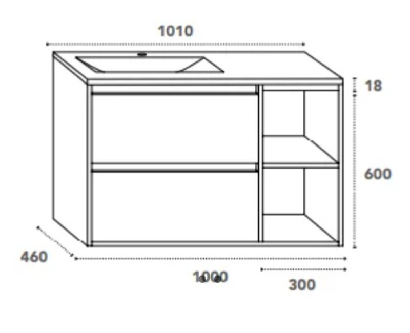 Vannas istabas skapītis OZE BIRDIE (bez izlietnes) 1000mm Balta/Golden Oak