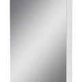 Зеркальный шкаф для ванной комнаты Сансервис Панорама-55