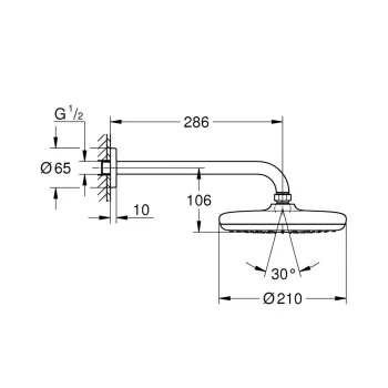 Dušas galva Grohe Tempesta 210, 29 cm, hroms, 26411000 NEW