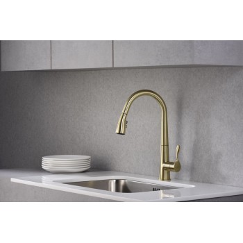 BLUE WATER STABILI Virtuves jaucējkrāns ar izvelkamu izteku, bronza