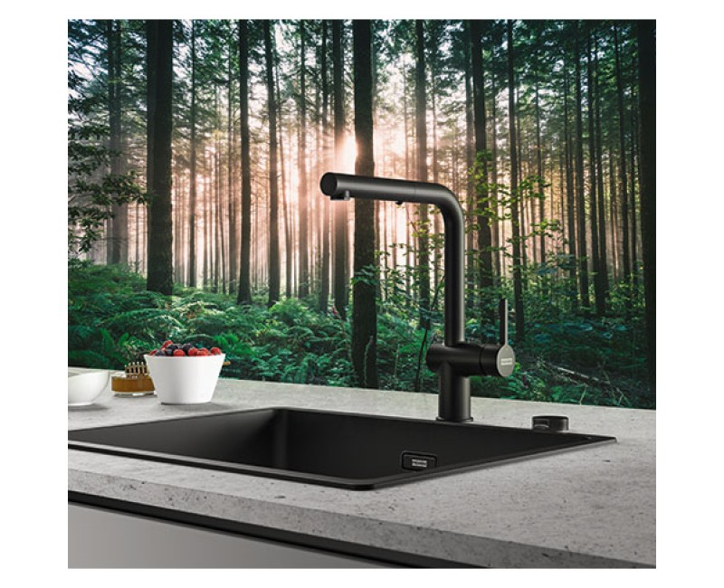 FRANKE Virtuves izlietnes jaucējkrāns ACTIVE L, 115.0653.382