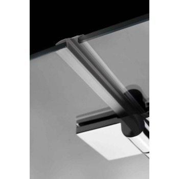 Radaway Dušas durvis Carena DWJ 120cm L/R