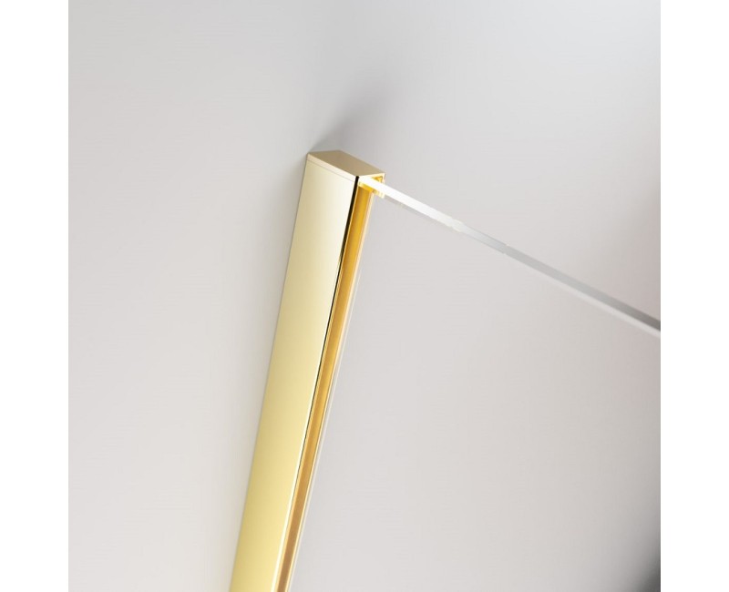 Radaway Душевая раздвижная дверь FURO Gold DWJ 140 L/R