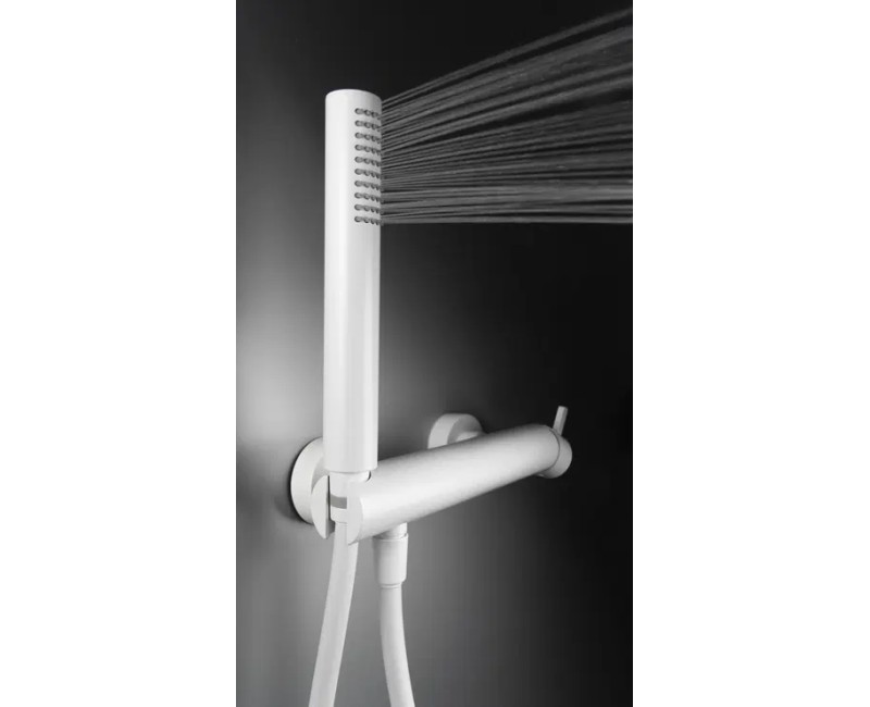 Dušas maisītājs Deante Silja ar rokas dušu, Balts BQS_A41M