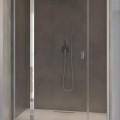 Radaway Душевая дверь на петлях NES DWJS 140 L/R