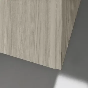 Vannas istabas skapītis Laufen Pro S, ar izlietni un atvilktņu organizatoru, 120x50x61cm, H8649632621071, gaiša goba