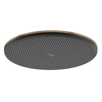 Dušas galva Hansgrohe Raindance Alive S, diametrs 30 cm, matēta bronza, 24520140 NEW