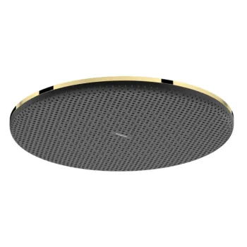 Dušas galva Hansgrohe Raindance Alive S, diametrs 30 cm, pulēts zelts, 24520990 NEW