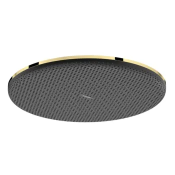 Dušas galva Hansgrohe Raindance Alive S, diametrs 30 cm, EcoSmart, pulēts zelts, 24521990 NEW