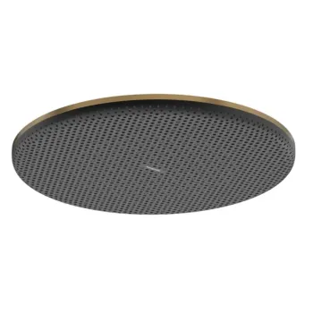 Dušas galva Hansgrohe Raindance Alive S, diametrs 30 cm, EcoSmart+, matēta bronza, 24523140 NEW