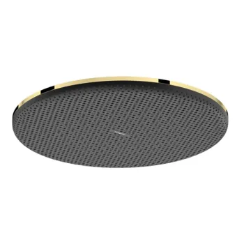 Dušas galva Hansgrohe Raindance Alive S, diametrs 30 cm, EcoSmart+, pulēts zelts, 24523990 NEW