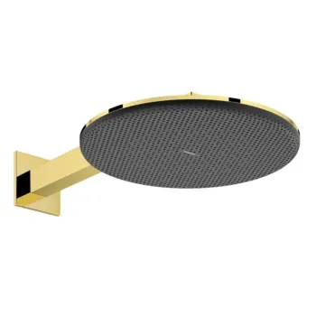 Dušas galva Hansgrohe Raindance Alive S, diametrs 30 cm, 2 režīmi, pulēts zelts, 24540990 NEW