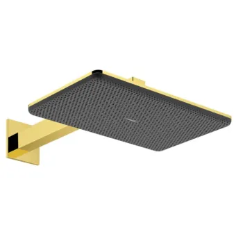 Dušas galva Hansgrohe Raindance Alive Q, 21x34 cm, 2 režīmi, pulēts zelts, 24550990 NEW