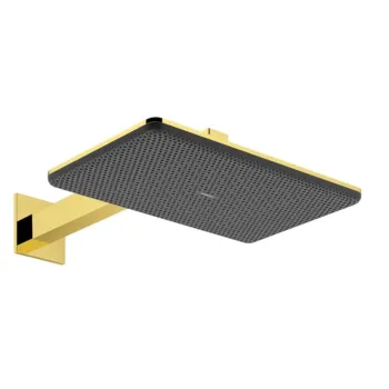 Dušas galva Hansgrohe Raindance Alive Q, 21x34 cm, 2 režīmi, EcoSmart, pulēts zelts, 24551990 NEW