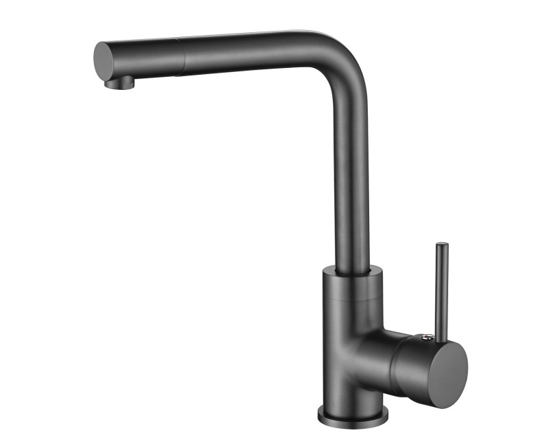 Aquasanita Forte Virtuves izlietnes jaucējkrāns, 5553-T-PVD