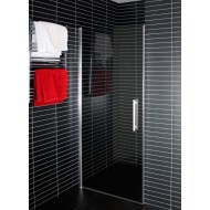 Duschy Door Душевая дверь 100 см, 5232-100