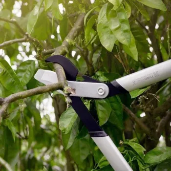 Dārza šķēres FISKARS, S izmērs 1020186