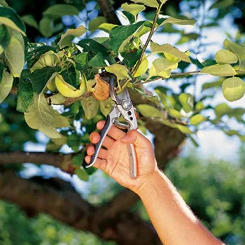 Dārza šķēres Gardena Premium BP 50 8702-20