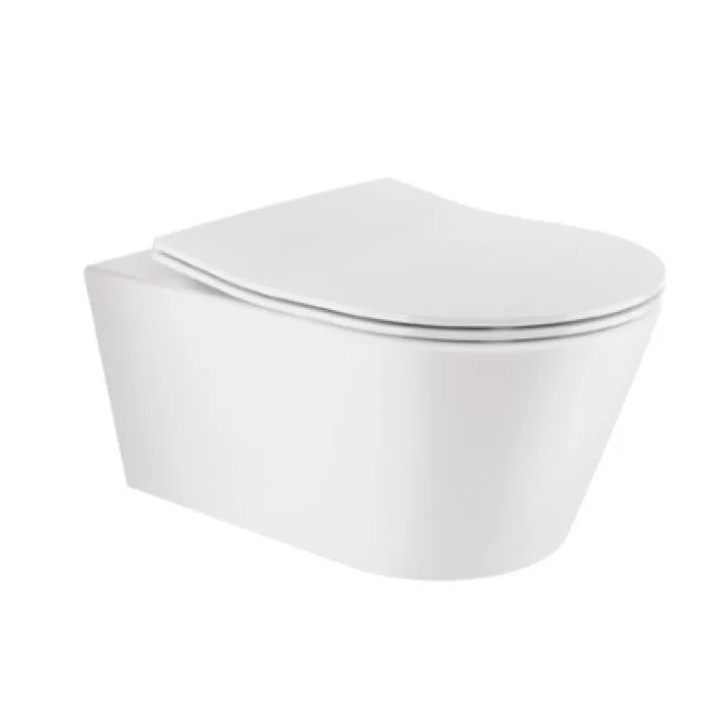 Tualetes poda Komplekts Sanindusa Sanfix rāmis ar Urb.y 48 Rimfree Baltu podu ar vāku SoftClose un Hromētu pogu