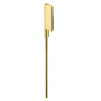Dušas klausule Axor One, 2 plūsmas veidi, pulēts misiņš 45720950
