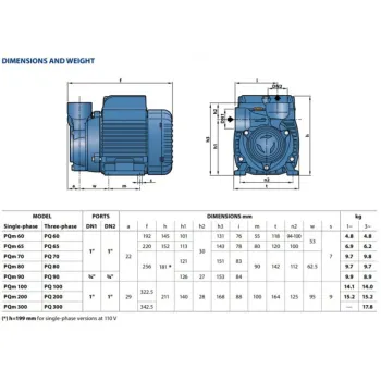 Ūdens apgādes sūknis Pedrollo PQ m 60 (0.37kW ~230V)