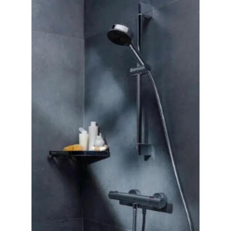 Dušas komplekts Hansgrohe  Unica Pulsify dušas stienis 650mm ar dušas vadu 160cm 24400000 hromēts