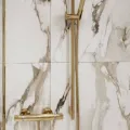 Dušas klausule Hansgrohe Raindance Select S 120 HS PGO 26530990 Polished Gold Optic