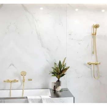 Dušas klausule Hansgrohe Raindance Select S 120 EcoSm.HS PGO 26531990 Polished Gold Optic