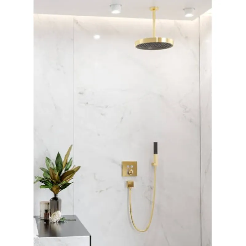 Dušas klausule Hansgrohe Rainfinity HS 1jet  26866990 Polished Gold Optic