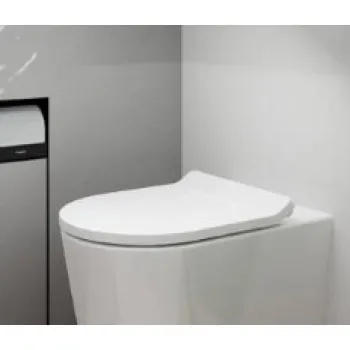 Poda vāks Hansgrohe  EluPura S ar SoftClose un QuickRelease  60200450 Balts