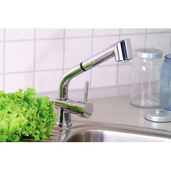 Virtuves maisītājs Sapho Rhapsody  ar izvelkamu dušas galvu, hroms 5550