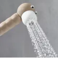 Dušas klausule Hansgrohe Jocolino Lion 2jet