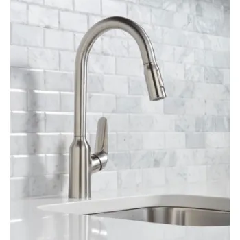 Virtuves Izlietnes maisītājs Hansgrohe Focus M429-H220,  ar izvelkamu galvu, stainless steel optic