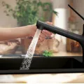 Virtuves Izlietnes maisītājs Hansgrohe Zesis M33-160 2jet, ar izvelkamu galvu, matēts melns+ sBox