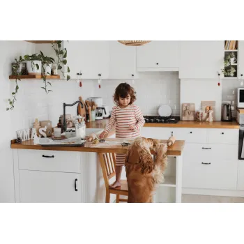 Virtuves jaucējkrāns ar taisnstūra izteku Deante Tamizo, titāns BQT_D63M